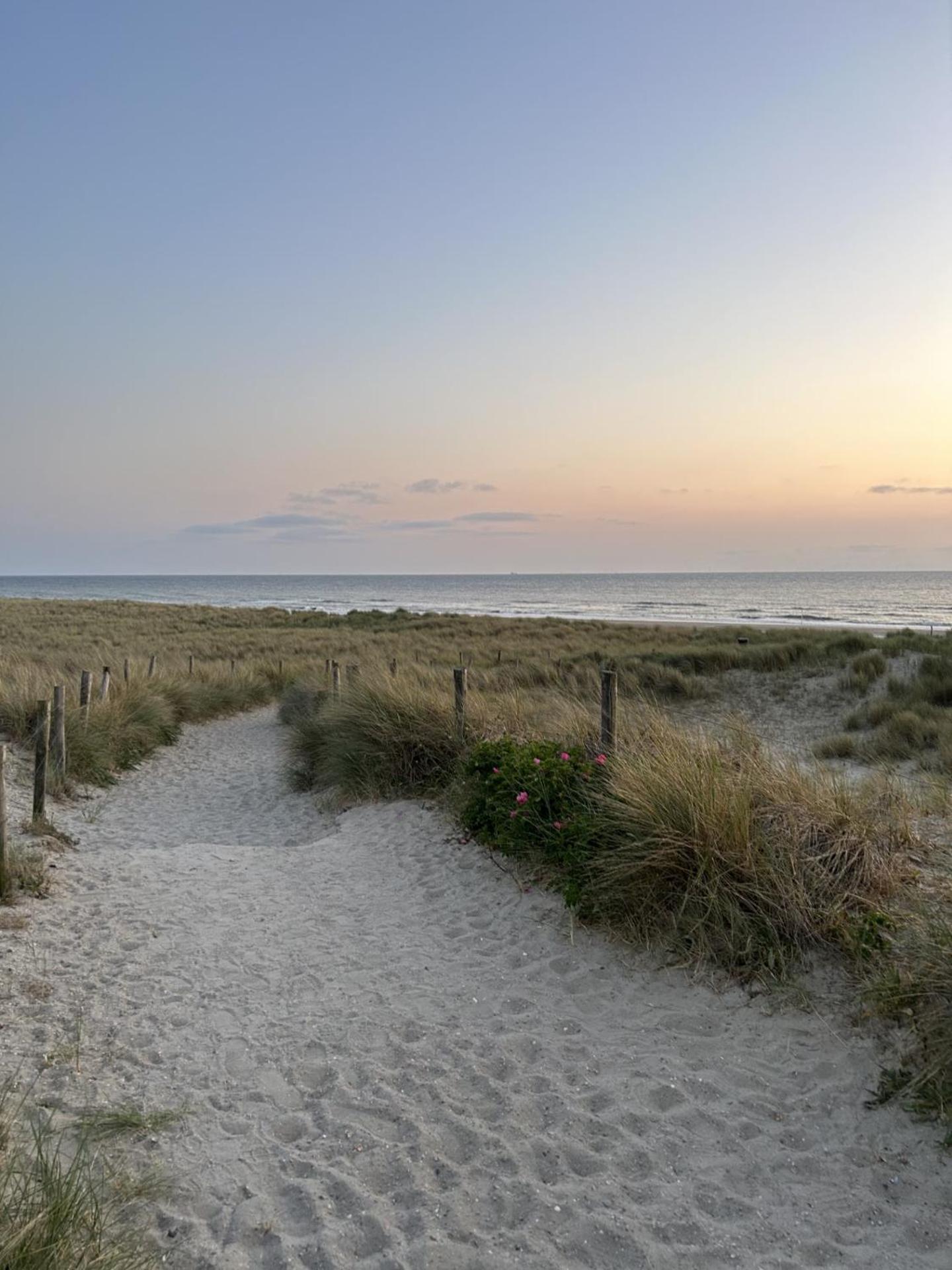 Breezy Beach Chalet Petten Buitenkant foto
