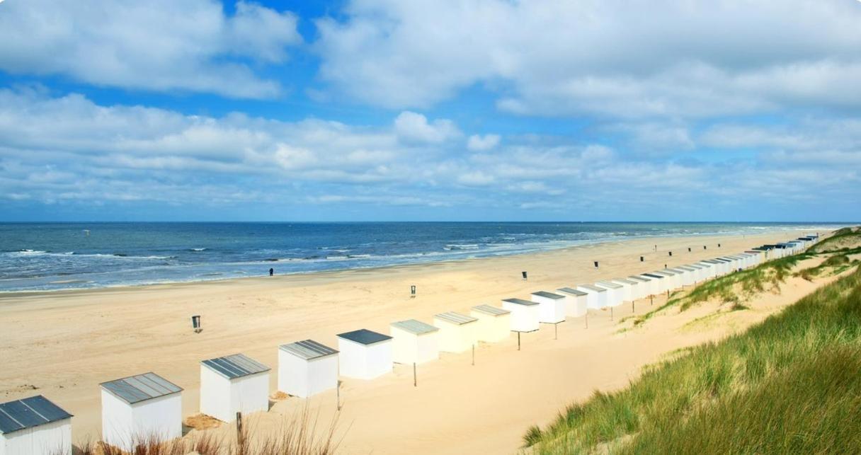 Breezy Beach Chalet Petten Buitenkant foto